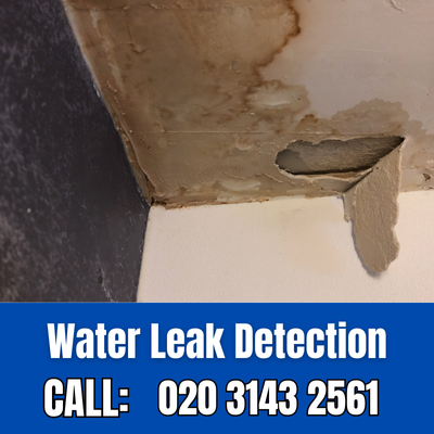 Expert Water Leak Detection Services in Loughton | Loughton Leak Detection